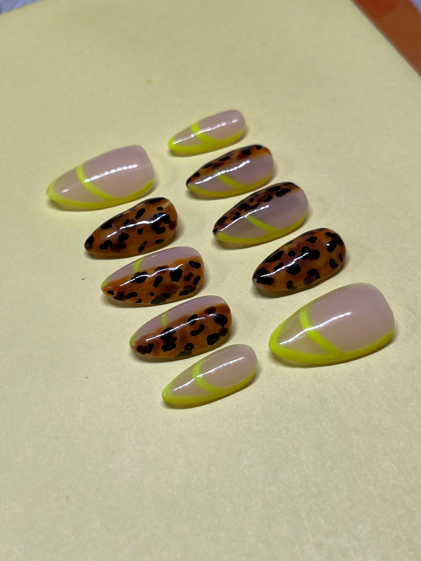 Neon French Tortoise