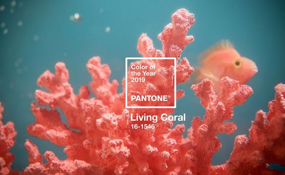 Pantone's 2019 Color of the Year